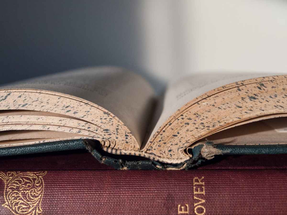 Author Interview with Gillian Bronte&nbsp;Adams