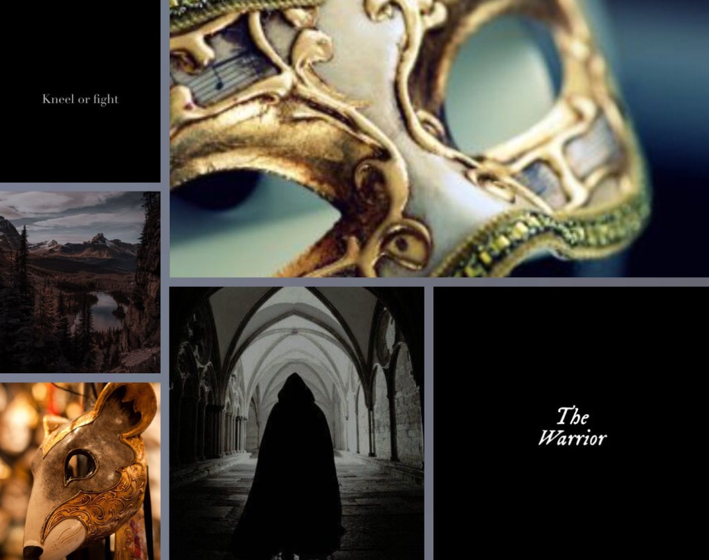 A Noble Warrior: Blurb Reveal!