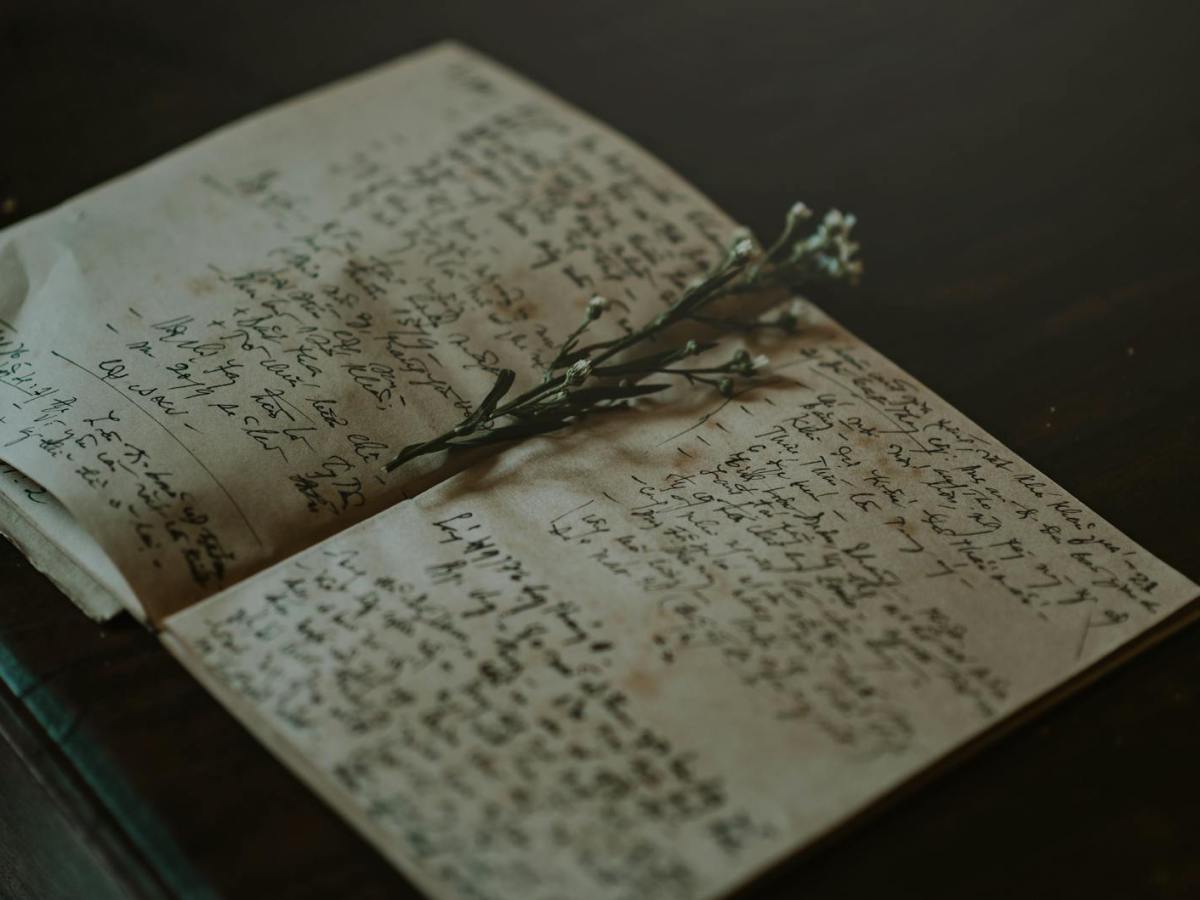 Author Interview With Madisyn&nbsp;Carlin