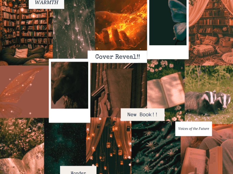 Cover Reveal; Voices of the Future: Stories of Warmth and&nbsp;Wonder